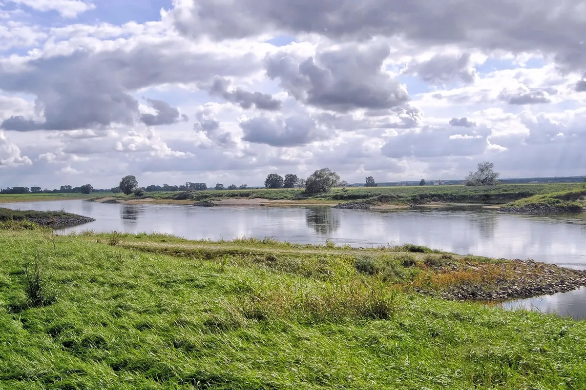 Floodplain Meadows Explained: How They Help Farmers, Wildlife and Downstream Towns